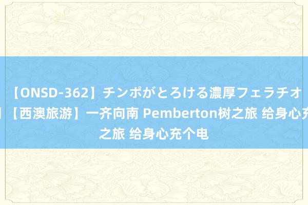 【ONSD-362】チンポがとろける濃厚フェラチオ4時間 【西澳旅游】一齐向南 Pemberton树之旅 给身心充个电