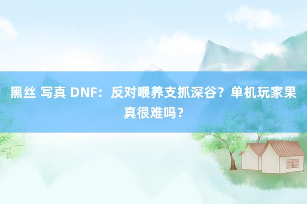 黑丝 写真 DNF：反对喂养支抓深谷？单机玩家果真很难吗？