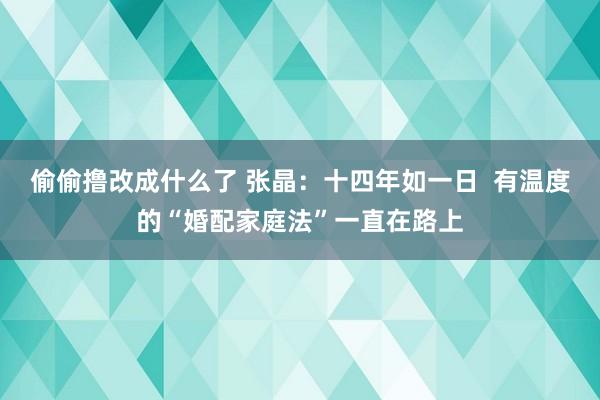 偷偷撸改成什么了 张晶：十四年如一日  有温度的“婚配家庭法”一直在路上