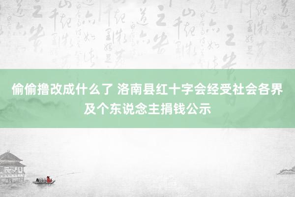 偷偷撸改成什么了 洛南县红十字会经受社会各界及个东说念主捐钱公示