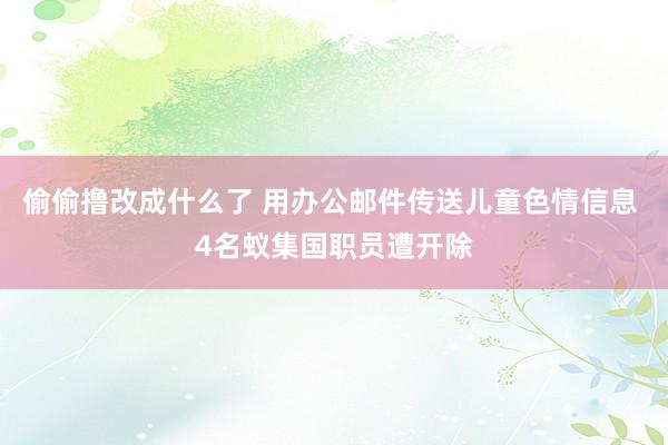 偷偷撸改成什么了 用办公邮件传送儿童色情信息 4名蚁集国职员遭开除