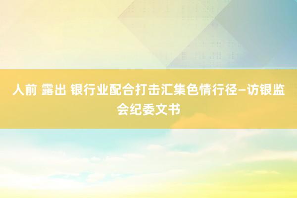 人前 露出 银行业配合打击汇集色情行径—访银监会纪委文书