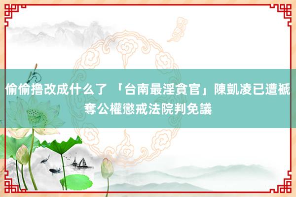 偷偷撸改成什么了 「台南最淫貪官」陳凱凌已遭褫奪公權　懲戒法院判免議