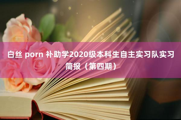 白丝 porn 补助学2020级本科生自主实习队实习简报（第四期）