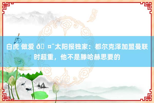 白虎 做爱 🤯太阳报独家：都尔克泽加盟曼联时超重，他不是滕哈赫思要的