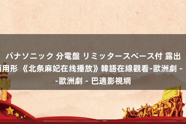 パナソニック 分電盤 リミッタースペース付 露出・半埋込両用形 《北条麻妃在线播放》韓語在線觀看-歐洲劇 - 巴適影視網