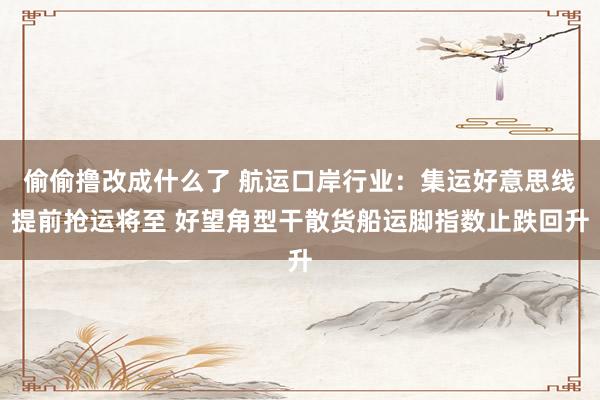 偷偷撸改成什么了 航运口岸行业：集运好意思线提前抢运将至 好望角型干散货船运脚指数止跌回升