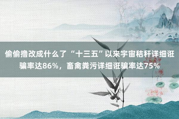 偷偷撸改成什么了 “十三五”以来宇宙秸秆详细诳骗率达86%，畜禽粪污详细诳骗率达75%