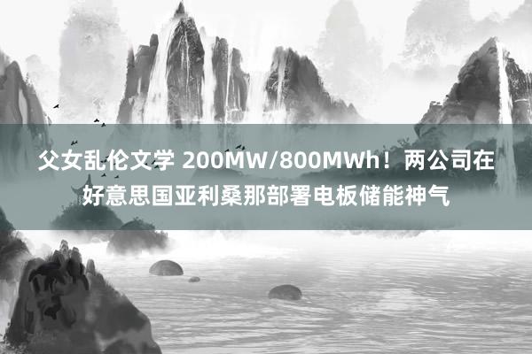 父女乱伦文学 200MW/800MWh！两公司在好意思国亚利桑那部署电板储能神气