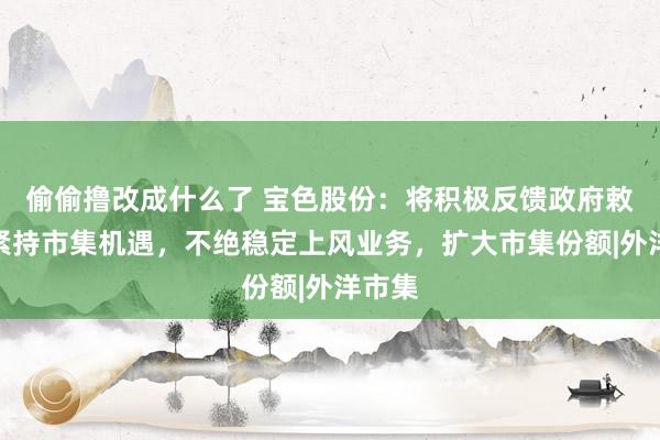 偷偷撸改成什么了 宝色股份：将积极反馈政府敕令，紧持市集机遇，不绝稳定上风业务，扩大市集份额|外洋市集