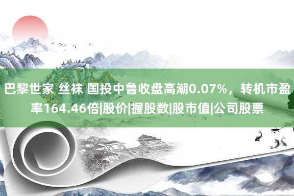 巴黎世家 丝袜 国投中鲁收盘高潮0.07%，转机市盈率164.46倍|股价|握股数|股市值|公司股票